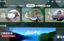 娱乐吃瓜钓鱼视频下载,一键下载收藏攻略